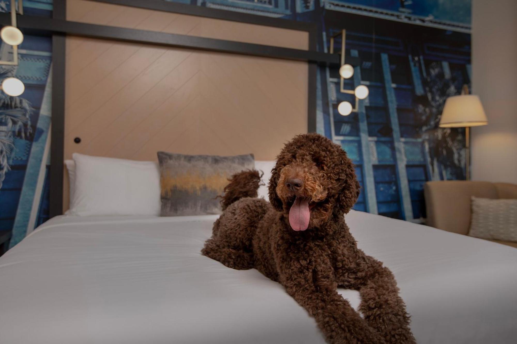 Hotel Indigo Jacksonville-Deerwood Park By Ihg מראה חיצוני תמונה